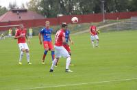 Odra Opole 1:0 Zagłębie Sosnowiec - 7934_odraopole_zaglebiesosnowiec_24opole_299.jpg