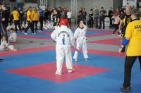 Teakwon-do Polish Open Cup 2017 - 7997_foto_24opole_089.jpg