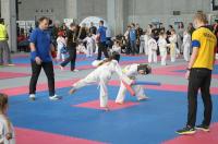 Teakwon-do Polish Open Cup 2017 - 7997_foto_24opole_099.jpg