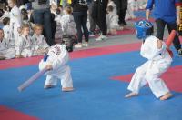 Teakwon-do Polish Open Cup 2017 - 7997_foto_24opole_104.jpg