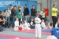 Teakwon-do Polish Open Cup 2017 - 7997_foto_24opole_132.jpg