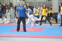 Teakwon-do Polish Open Cup 2017 - 7997_foto_24opole_141.jpg