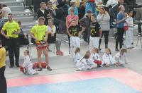 Teakwon-do Polish Open Cup 2017 - 7997_foto_24opole_157.jpg