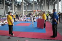 Teakwon-do Polish Open Cup 2017 - 7997_foto_24opole_220.jpg