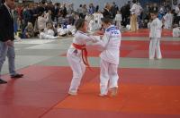 Opolski Integracyjny Festiwal Judo 2017 - 8006_foto_24opole_223.jpg