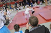 Opolski Integracyjny Festiwal Judo 2017 - 8006_foto_24opole_235.jpg