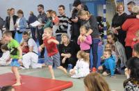 Opolski Integracyjny Festiwal Judo 2017 - 8006_foto_24opole_236.jpg