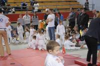 Opolski Integracyjny Festiwal Judo 2017 - 8006_foto_24opole_240.jpg