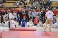Opolski Integracyjny Festiwal Judo 2017 - 8006_foto_24opole_242.jpg
