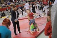 Opolski Integracyjny Festiwal Judo 2017 - 8006_foto_24opole_249.jpg