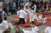 Opolski Integracyjny Festiwal Judo 2017 - 8006_foto_24opole_252.jpg
