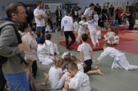 Opolski Integracyjny Festiwal Judo 2017 - 8006_foto_24opole_254.jpg