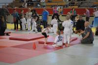 Opolski Integracyjny Festiwal Judo 2017 - 8006_foto_24opole_255.jpg
