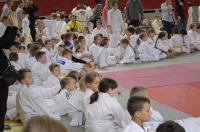 Opolski Integracyjny Festiwal Judo 2017 - 8006_foto_24opole_259.jpg
