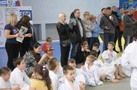 Opolski Integracyjny Festiwal Judo 2017 - 8006_foto_24opole_271.jpg