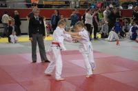 Opolski Integracyjny Festiwal Judo 2017 - 8006_foto_24opole_279.jpg