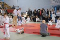 Opolski Integracyjny Festiwal Judo 2017 - 8006_foto_24opole_294.jpg