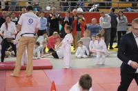 Opolski Integracyjny Festiwal Judo 2017 - 8006_foto_24opole_311.jpg