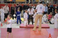 Opolski Integracyjny Festiwal Judo 2017 - 8006_foto_24opole_313.jpg