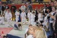 Opolski Integracyjny Festiwal Judo 2017 - 8006_foto_24opole_327.jpg