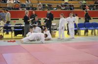 Opolski Integracyjny Festiwal Judo 2017 - 8006_foto_24opole_343.jpg