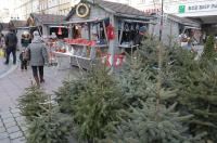 Jarmark Bożonarodzeniowy w Opolu - 8015_foto_24opole_029.jpg