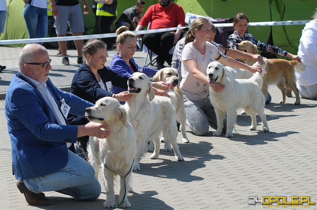 24opole.pl