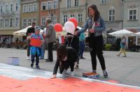 Dzień Flagi Rzeczpospolitej Polskiej w Opolu - 8115_foto_24opole_100.jpg