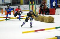 Blade Cup - Opole 2018 - 8131_foto_24opole_187.jpg