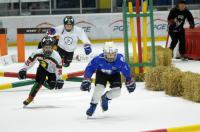 Blade Cup - Opole 2018 - 8131_foto_24opole_275.jpg