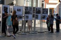 Dni Opola 2018 - Piknik Rycerski, Piknik na Placu Wolności, Piknik na Rynku - 8132_foto_24opole_049.jpg