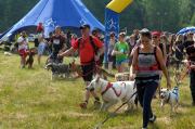  I Opolski Charytatywny Dogtrekking