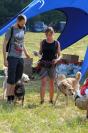  I Opolski Charytatywny Dogtrekking - 8142_foto_24opole_011.jpg