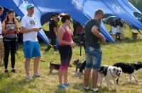  I Opolski Charytatywny Dogtrekking - 8142_foto_24opole_015.jpg