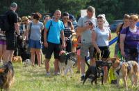  I Opolski Charytatywny Dogtrekking - 8142_foto_24opole_023.jpg