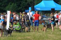  I Opolski Charytatywny Dogtrekking - 8142_foto_24opole_032.jpg