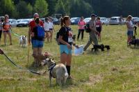  I Opolski Charytatywny Dogtrekking - 8142_foto_24opole_045.jpg