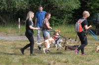  I Opolski Charytatywny Dogtrekking - 8142_foto_24opole_064.jpg