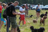  I Opolski Charytatywny Dogtrekking - 8142_foto_24opole_065.jpg