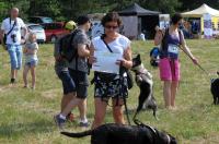  I Opolski Charytatywny Dogtrekking - 8142_foto_24opole_069.jpg