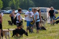  I Opolski Charytatywny Dogtrekking - 8142_foto_24opole_074.jpg