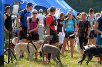  I Opolski Charytatywny Dogtrekking - 8142_foto_24opole_077.jpg