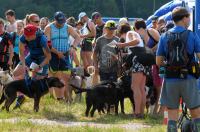  I Opolski Charytatywny Dogtrekking - 8142_foto_24opole_078.jpg