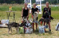  I Opolski Charytatywny Dogtrekking - 8142_foto_24opole_183.jpg