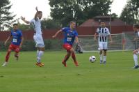 Odra Opole 1:0 Sandecja Nowy Sącz - 8183_foto_24opole_072.jpg