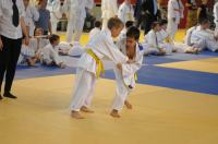 II Opolski Integracyjny Festiwal Judo - 8208_foto_24opole_206.jpg