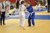 II Opolski Integracyjny Festiwal Judo - 8208_foto_24opole_228.jpg