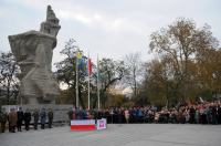 Obchody 100 Rocznicy Odzyskania Niepodległości w Opolu - 8224_foto_24opole_310.jpg