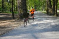 Parkrun Opole #199 - aktywne święta z parkrun - 8316_foto_24opole_080.jpg