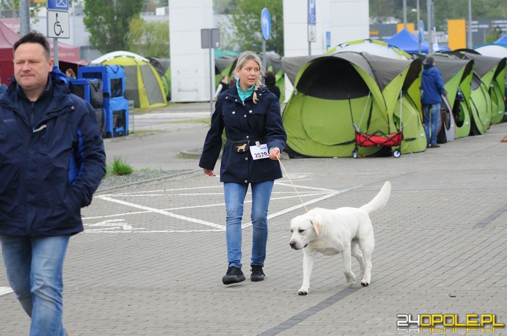 24opole.pl